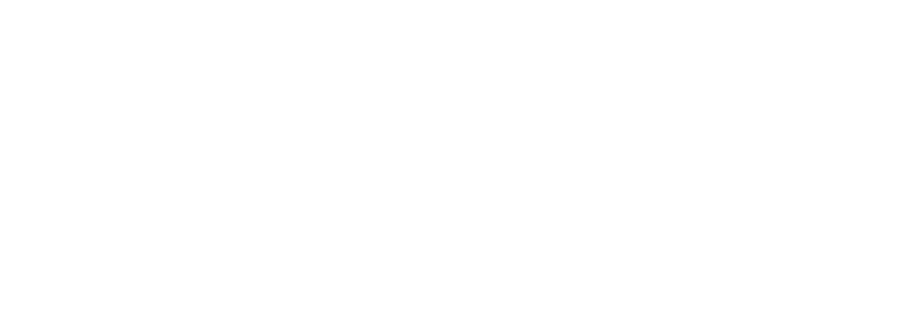 Arch Risk Advisors